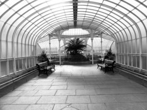 32. 27-05-10  Glasgow  The Botanic Gardens Kibble Palace