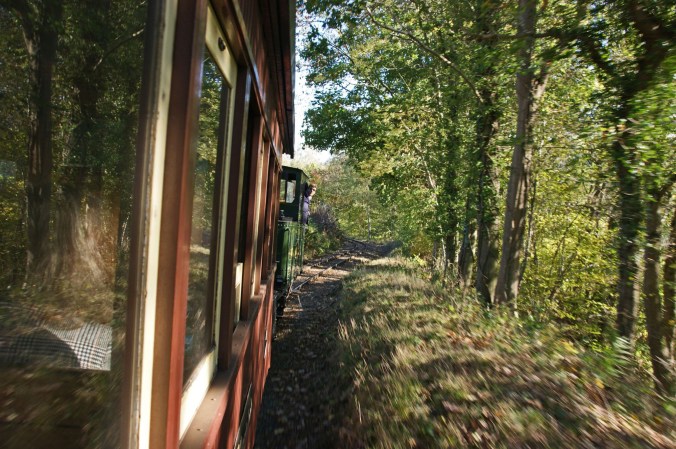 20/10/18 WELSHPOOL& Llanfair Light Rly. Through The Trees.