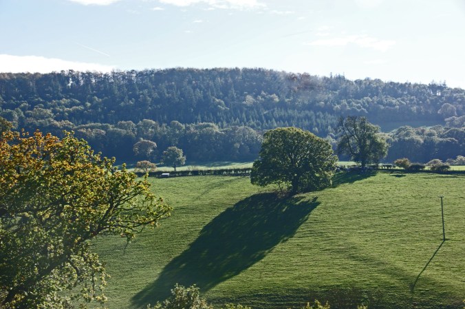 20/10/18 WELSHPOOL& Llanfair Light Rly. Lineside.