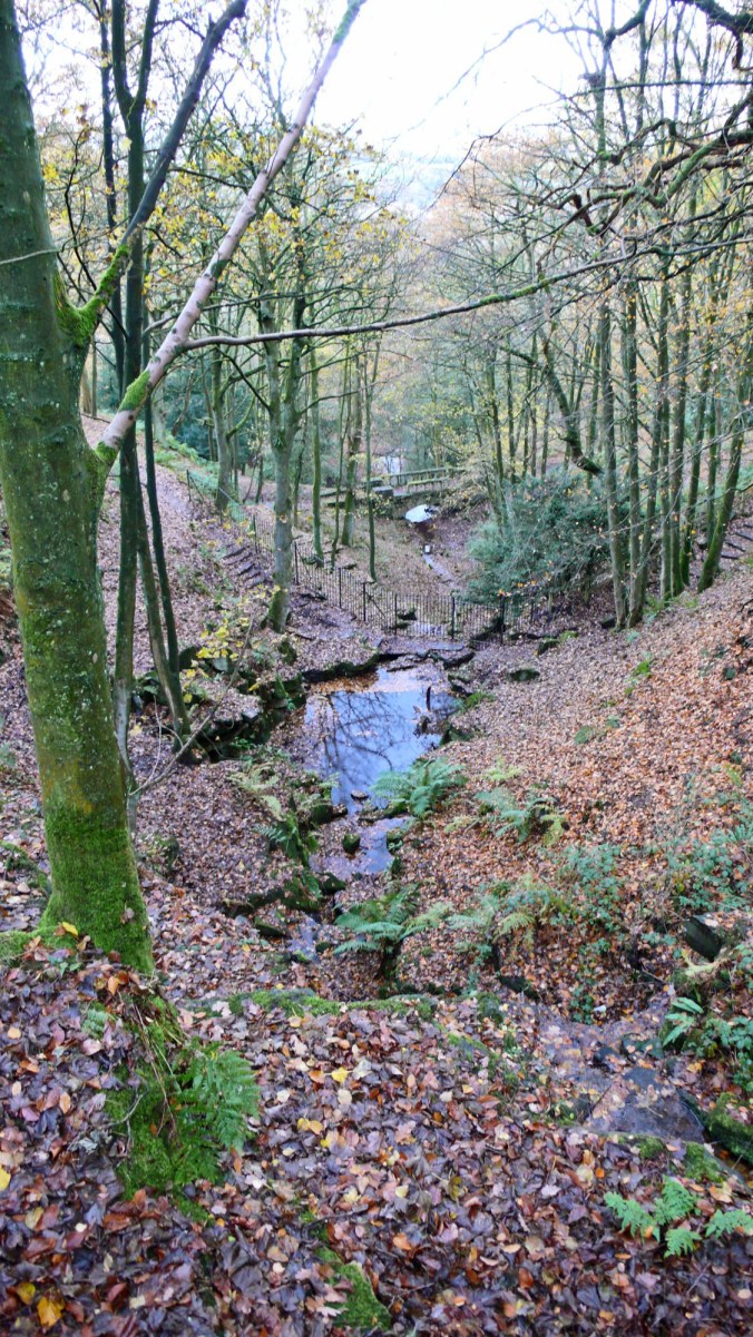 11/11/18 RIVINGTON TERRACED GARDENS.  The Dell &amp; Blue Pool Bridg