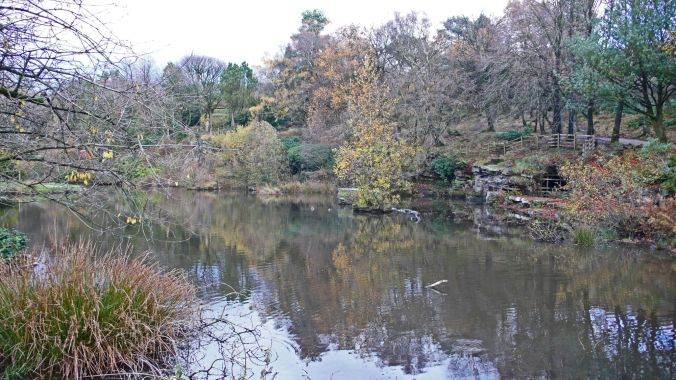 11/11/18 RIVINGTON TERRACED GARDENS. The Japanese Pool.