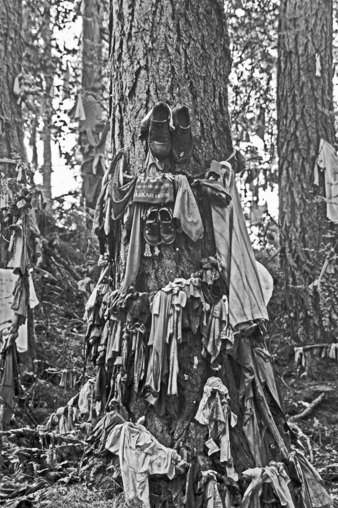 28/08/14 SCOTLAND. The Black Isle. Munlochy Clooty Well.