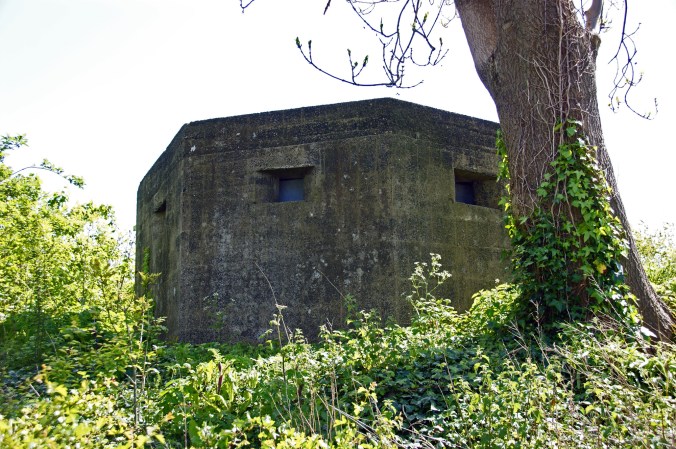 04-05-19 PARKGATE. WW2 Pillbox Bat Roost.