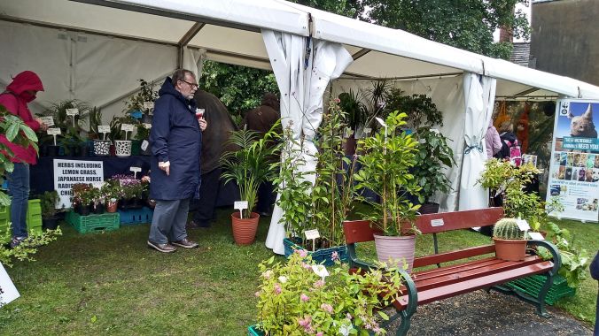 28/07/19 CHORLEY FLOWER SHOW. Plants & Herbs.