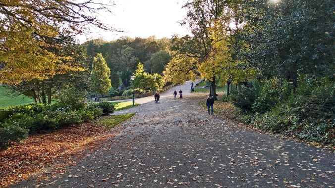 27/10/19.  PRESTON. Avenham Park.