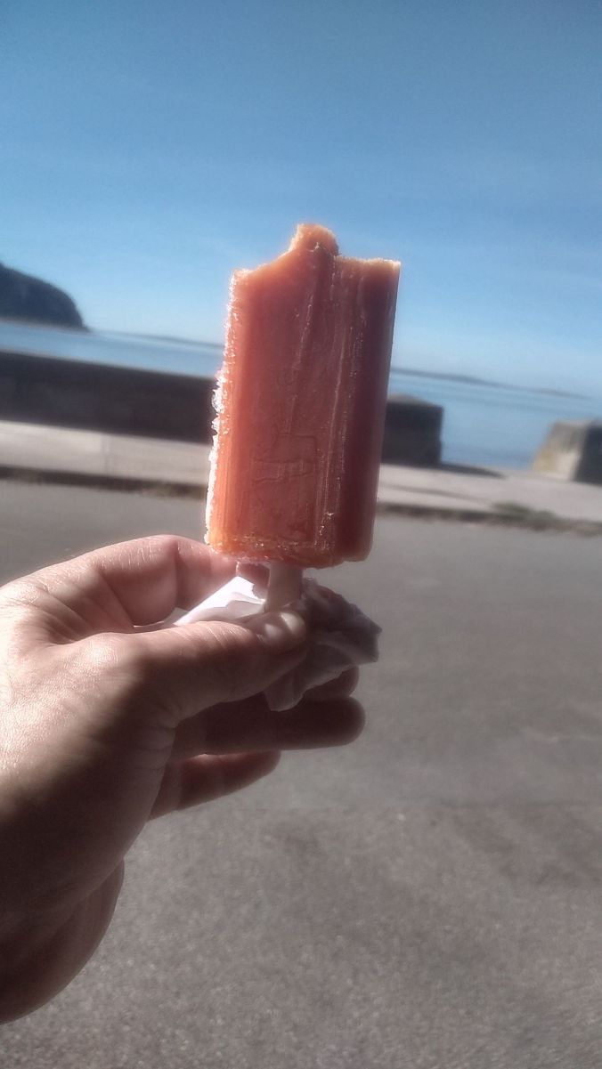 03. 19-09-19 DEGANWY. Sues Beach Hut