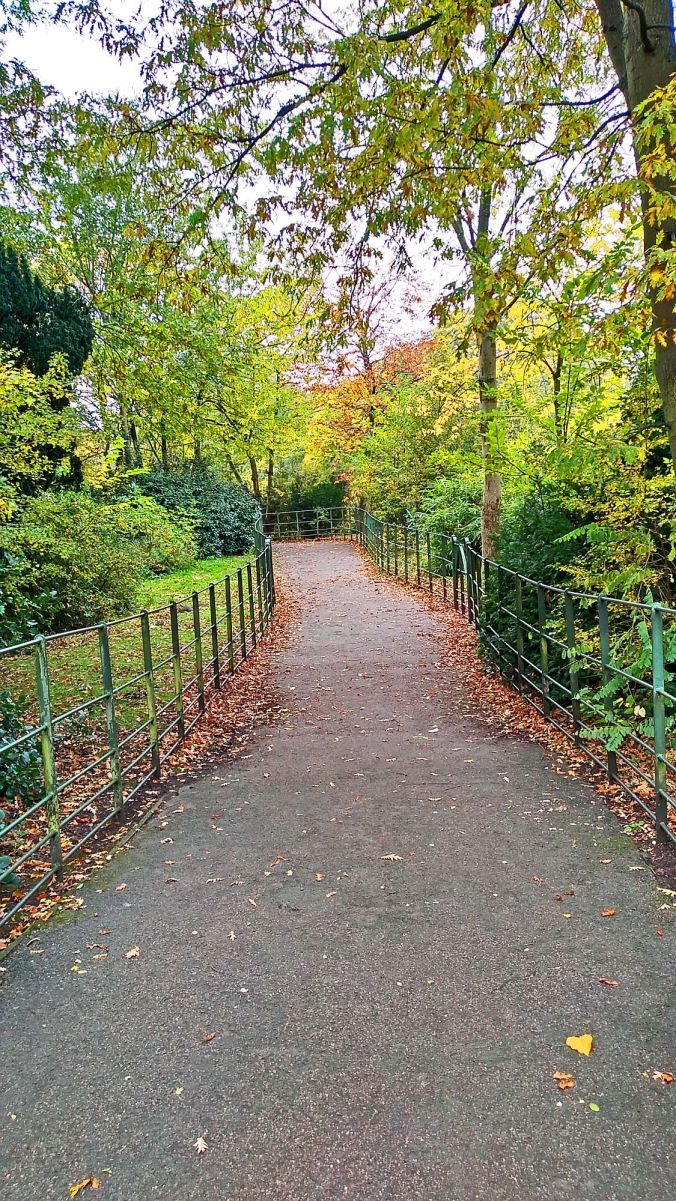 31/10/19  BIRKENHEAD. Birkenhead Park. Path Through The Trees.