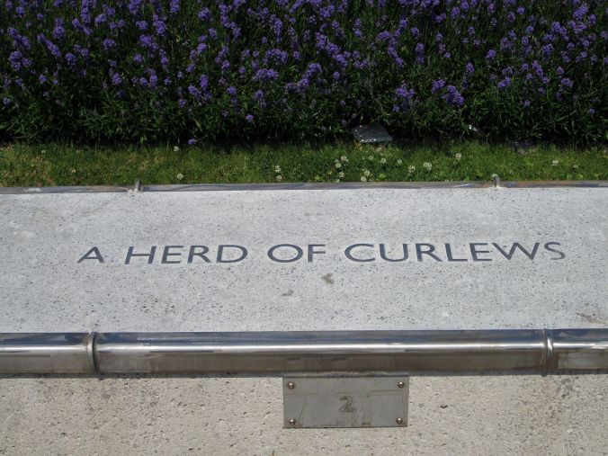 118/07/13 MORECAMBE. Collective noun