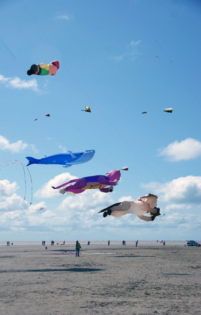 25/07/15 ST. ANNES. Blue Whale Kite.