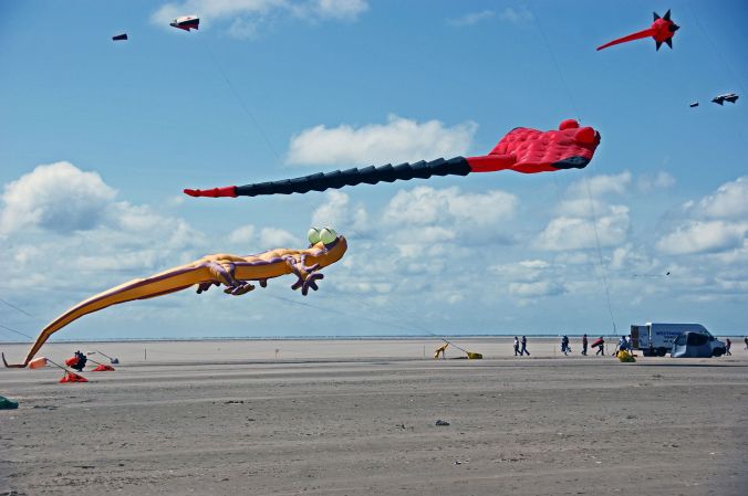 25/07/15 ST. ANNES. Gekko &amp; Manta Ray Kites.
